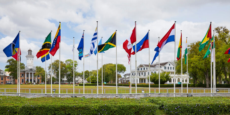 Caribbean CARICOM Flags